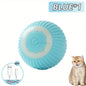 Cat Interactive 3 Mode Rechargeable Ball