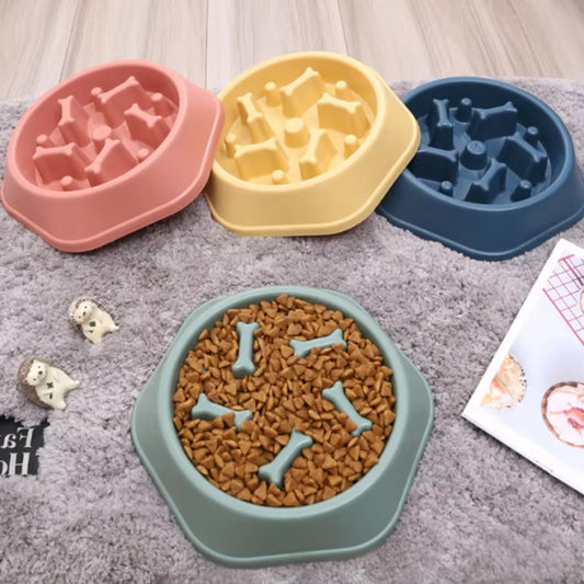 Slow Feeder Dog Cat Bowl