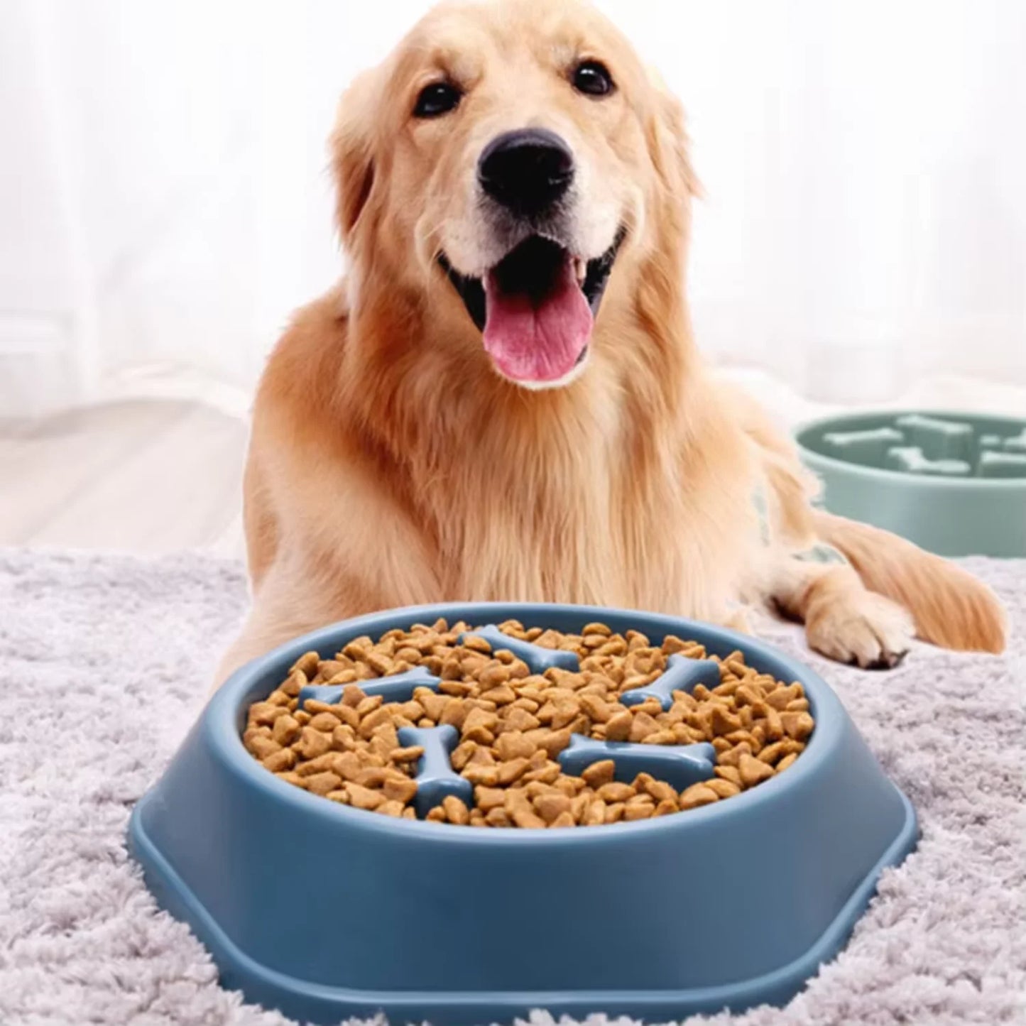 Slow Feeder Dog Cat Bowl