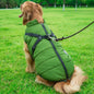 Waterproof Dog Vest For Walking 2XL to 4XL