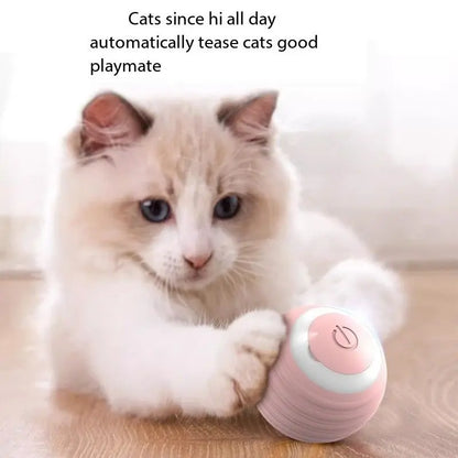 Pet Ball Automatic Rolling Toy