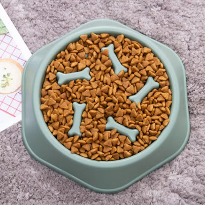 Slow Feeder Dog Cat Bowl