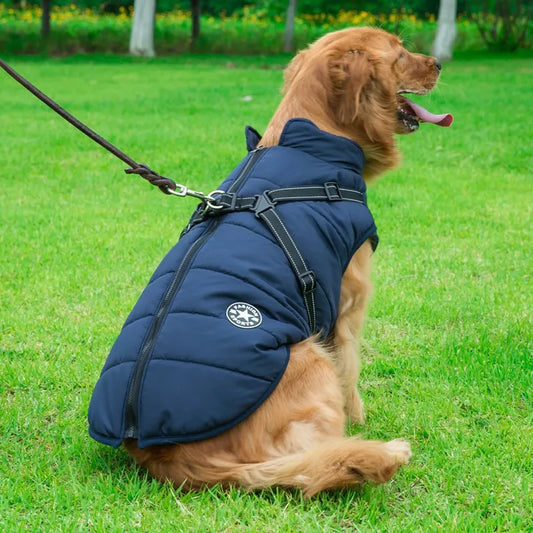 Waterproof Dog Vest For Walking 2XL to 4XL